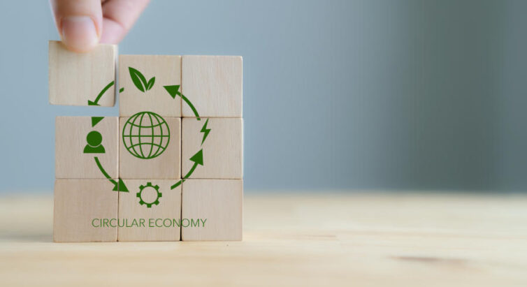 1 Circular Economy