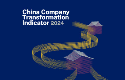 How Leading Companies in China are Navigating Economic Transition – Insights from IMD’s Indicator